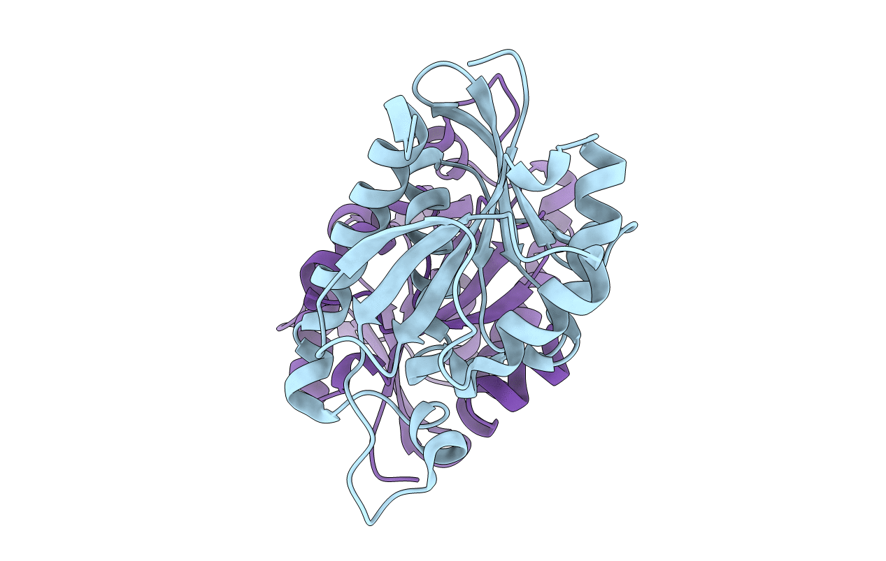 3TCN image