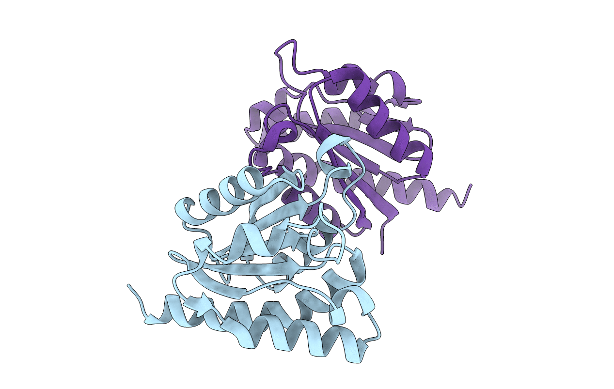 3TCR image