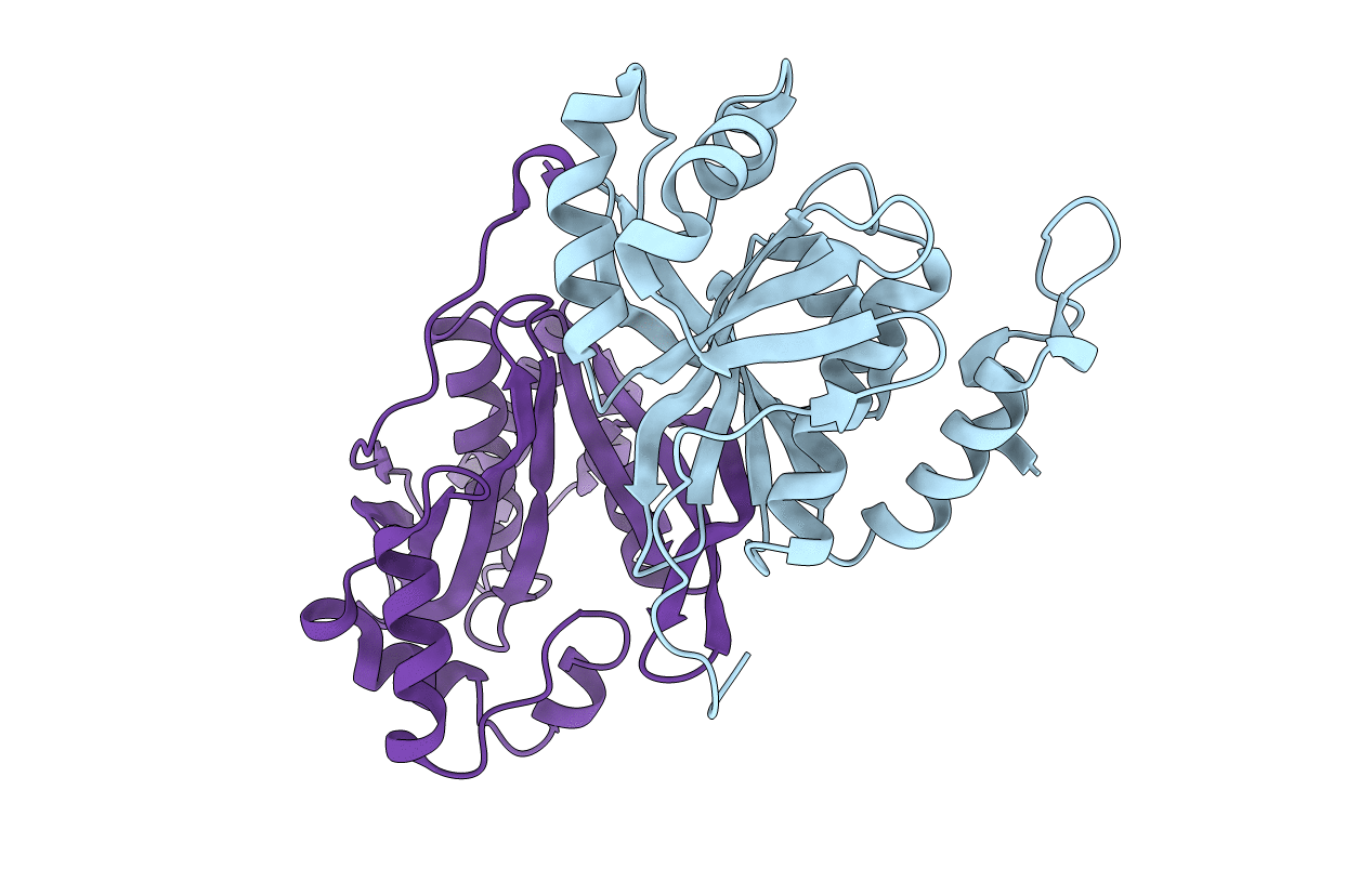 3TCV image