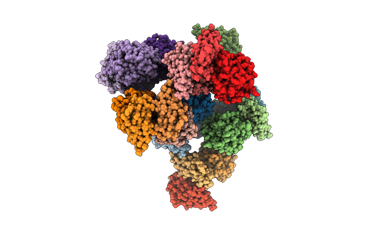 3TCX image