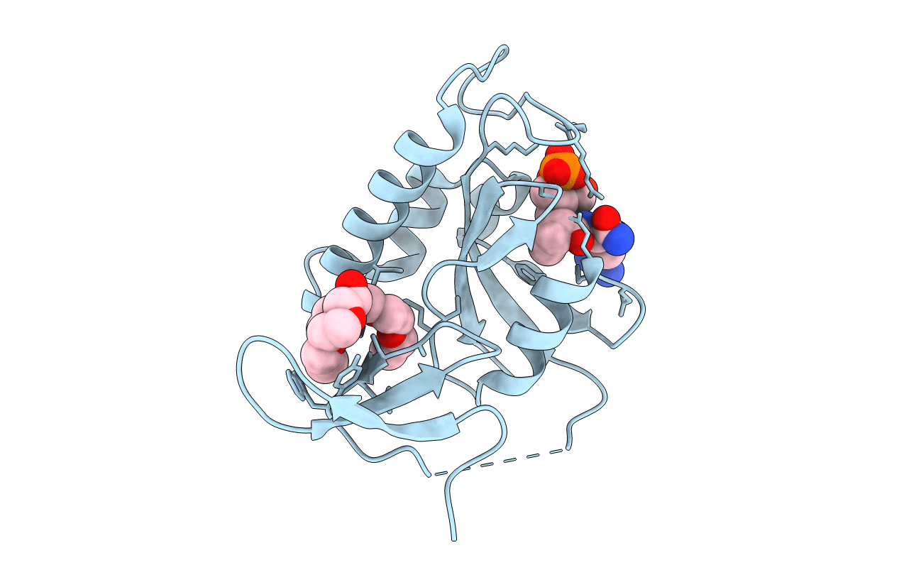 3TCZ image
