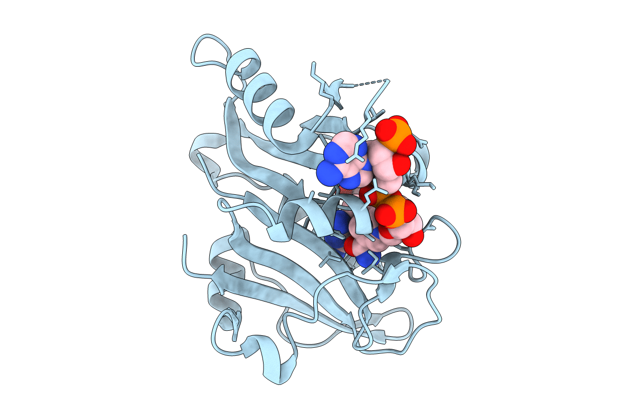 3TD8 image