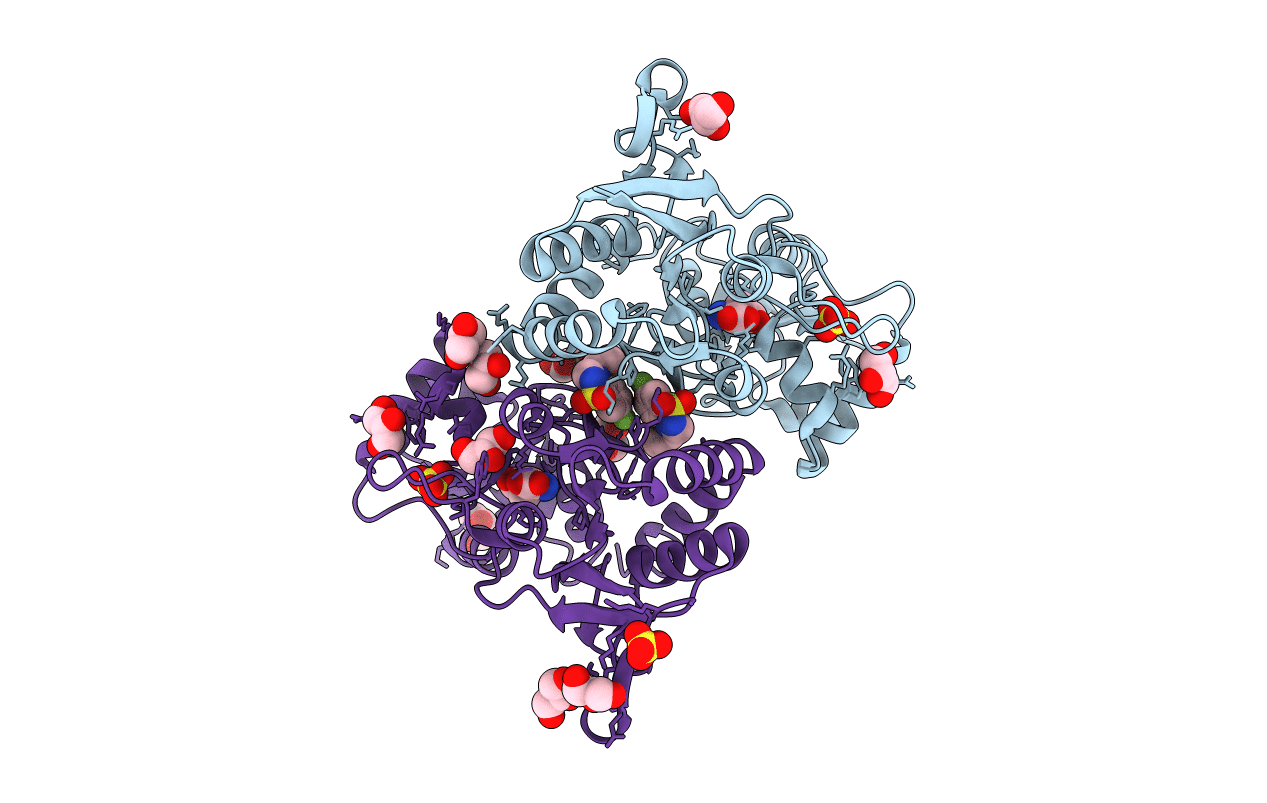 3TDJ image