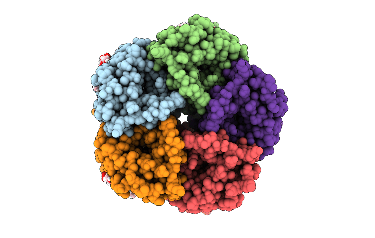 3tdp image