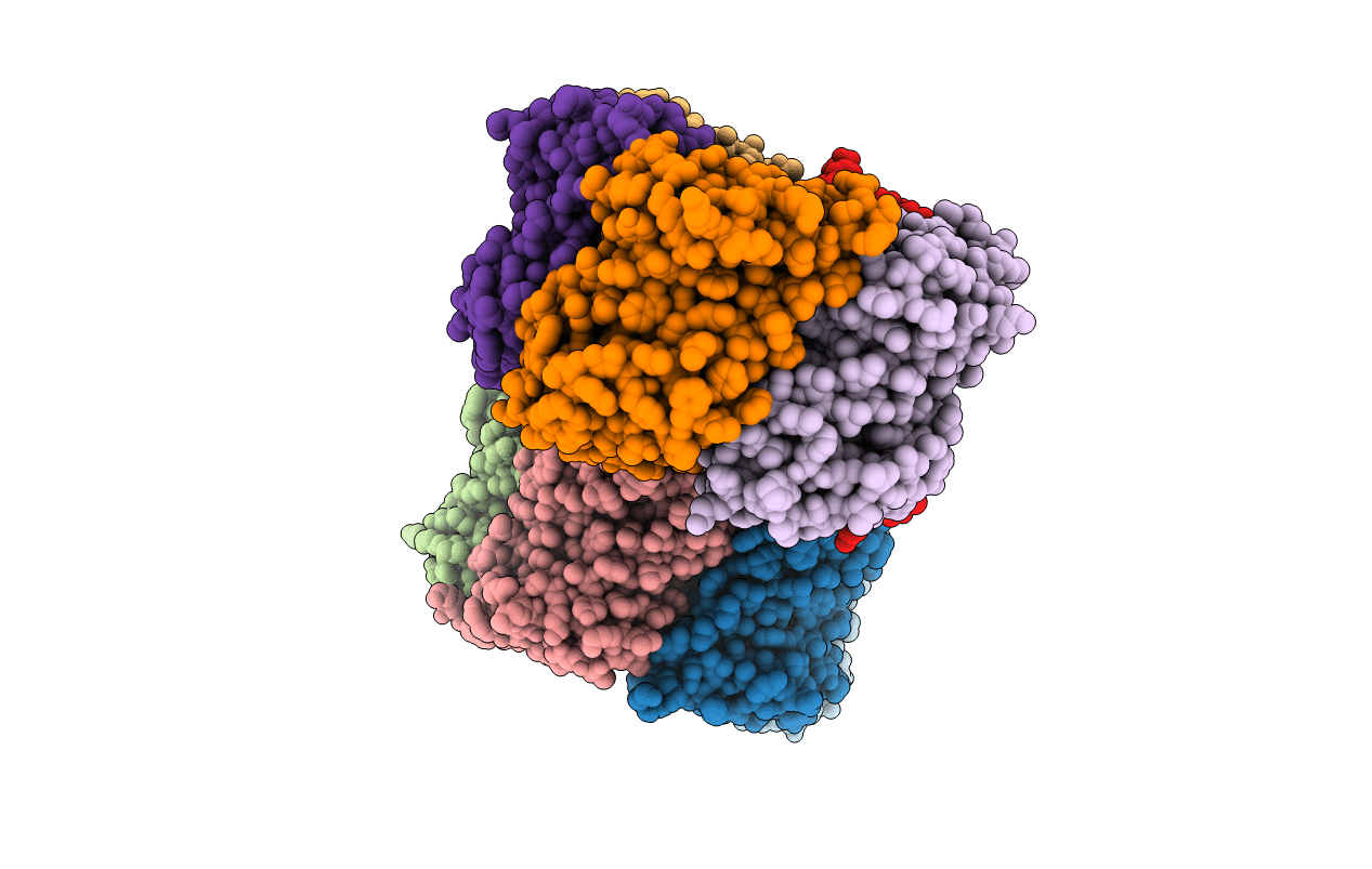 3tdr image