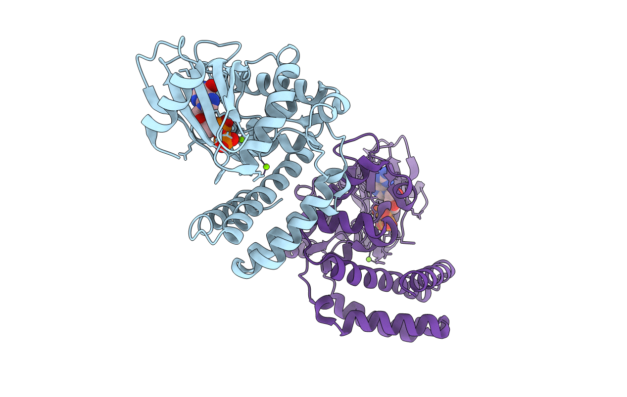 3TDV image