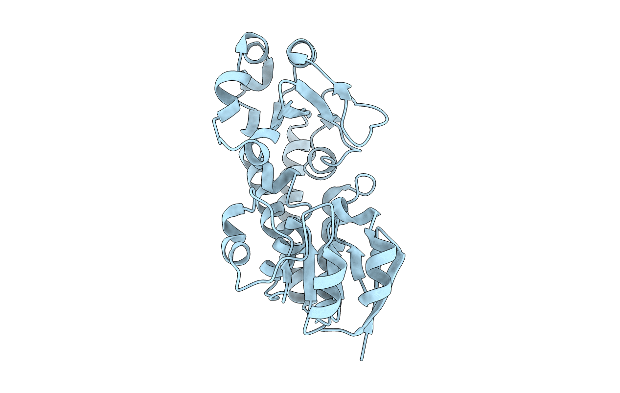 3TEF image