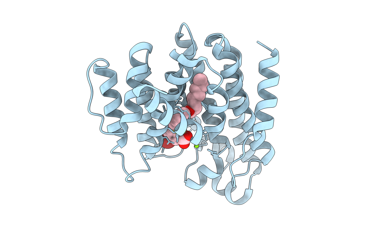 3TFV image