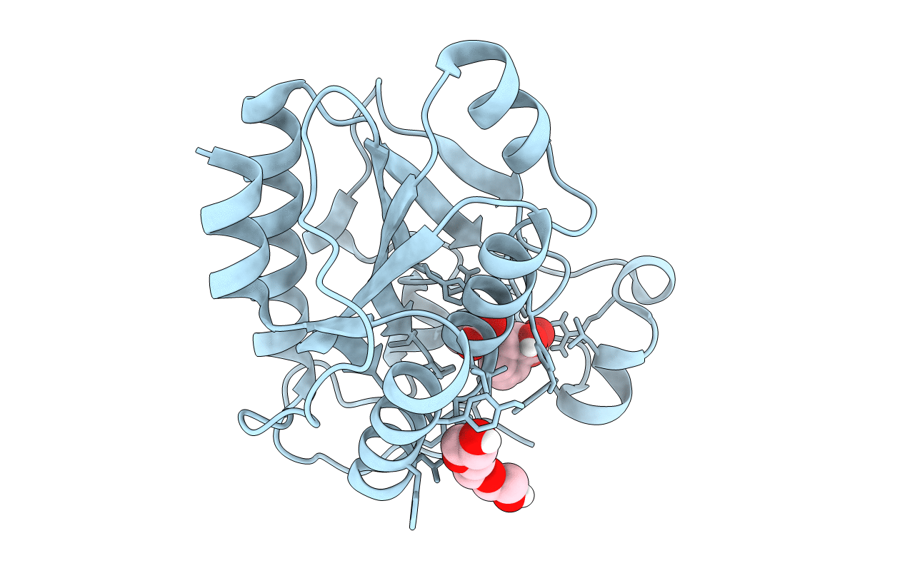 3TG2 image
