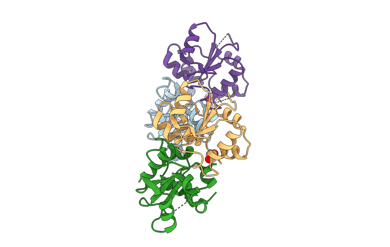 3TG3 image