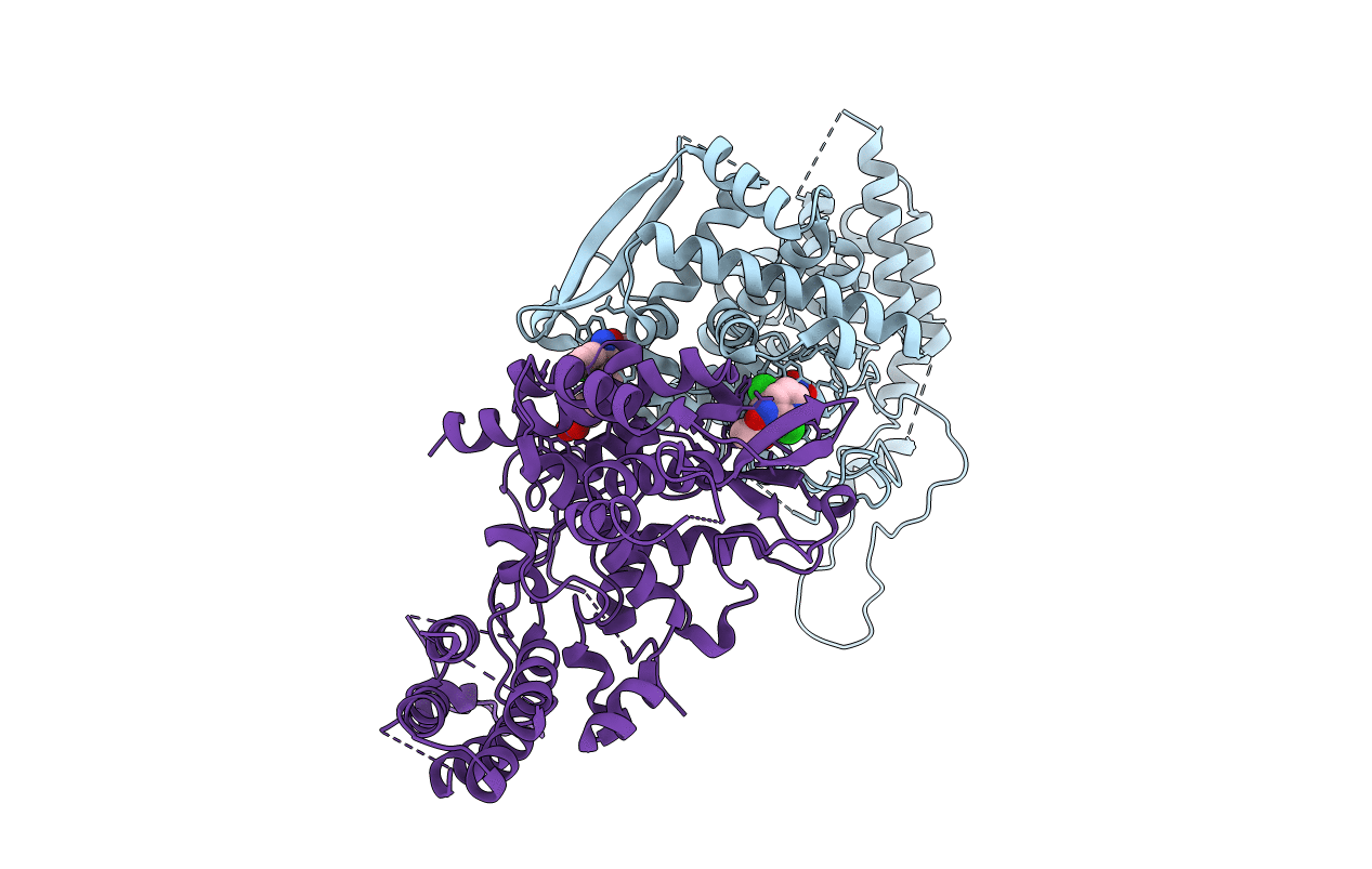 3TG6 image