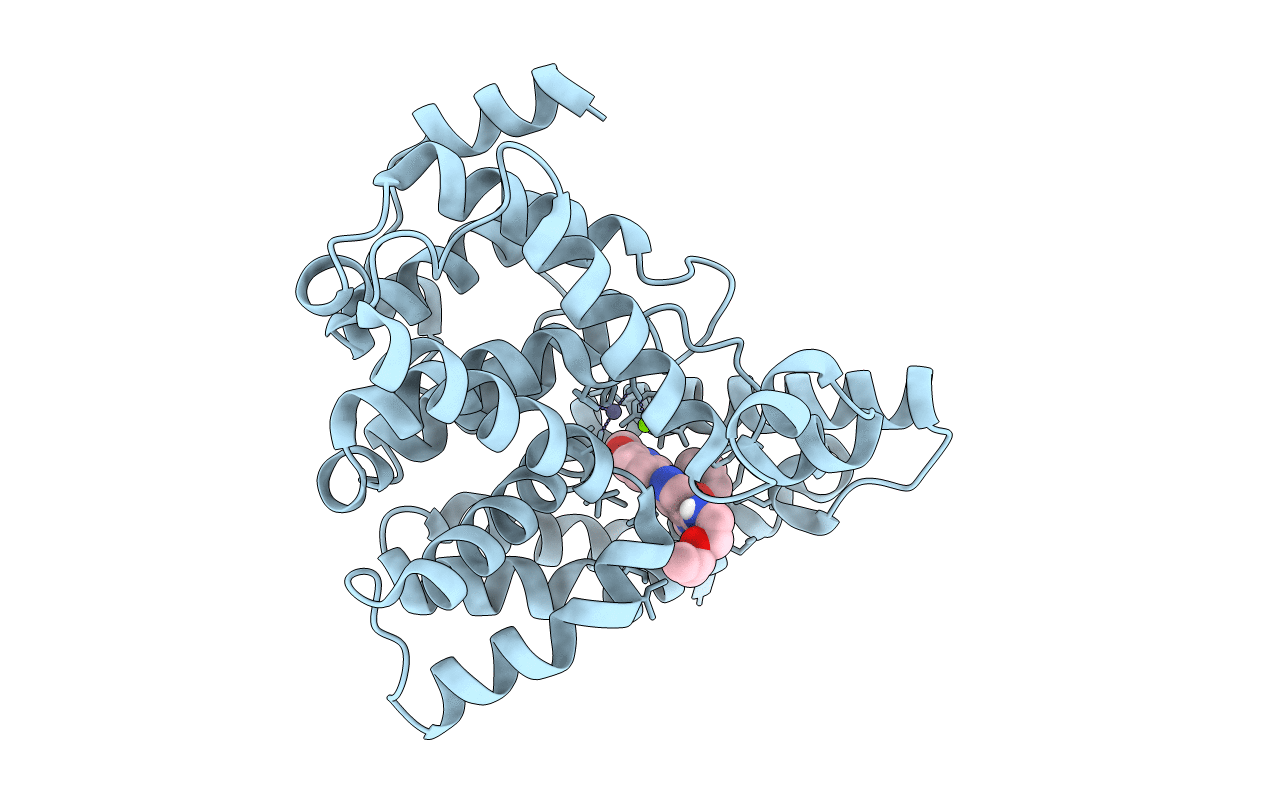 3TGG image