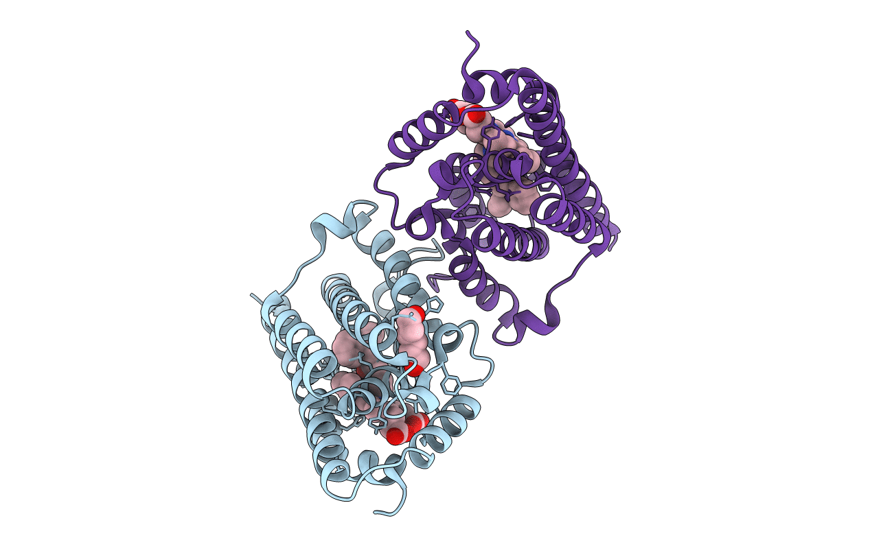 3TGM image