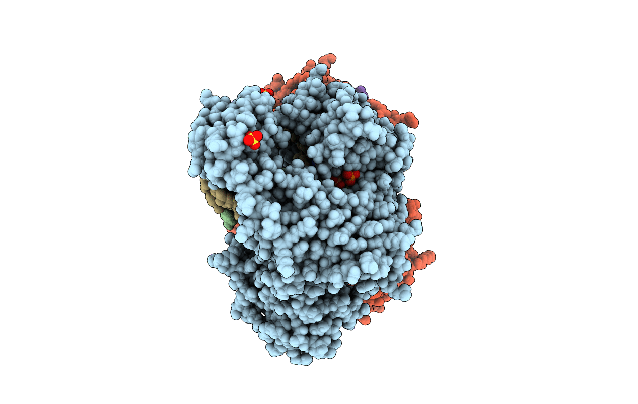 3THV image