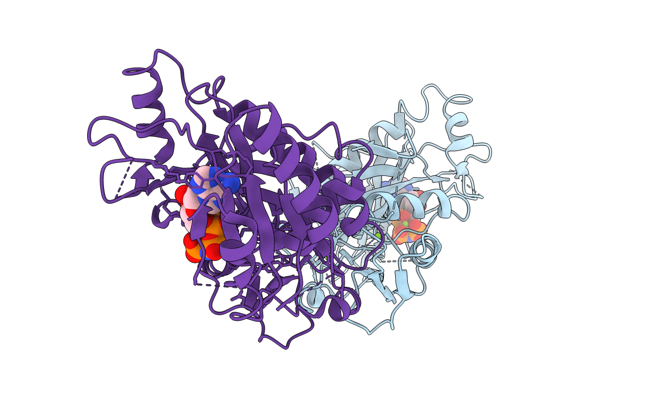 3TII image