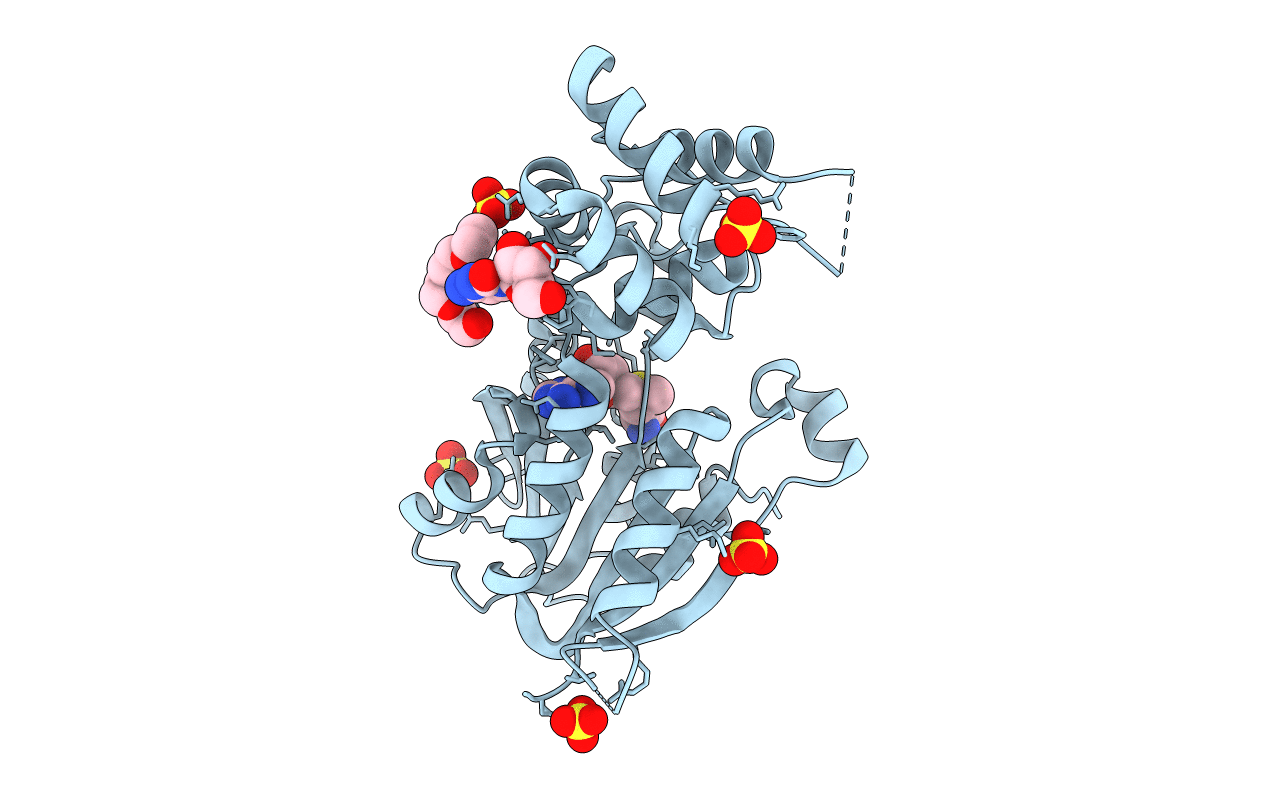 3TKA image