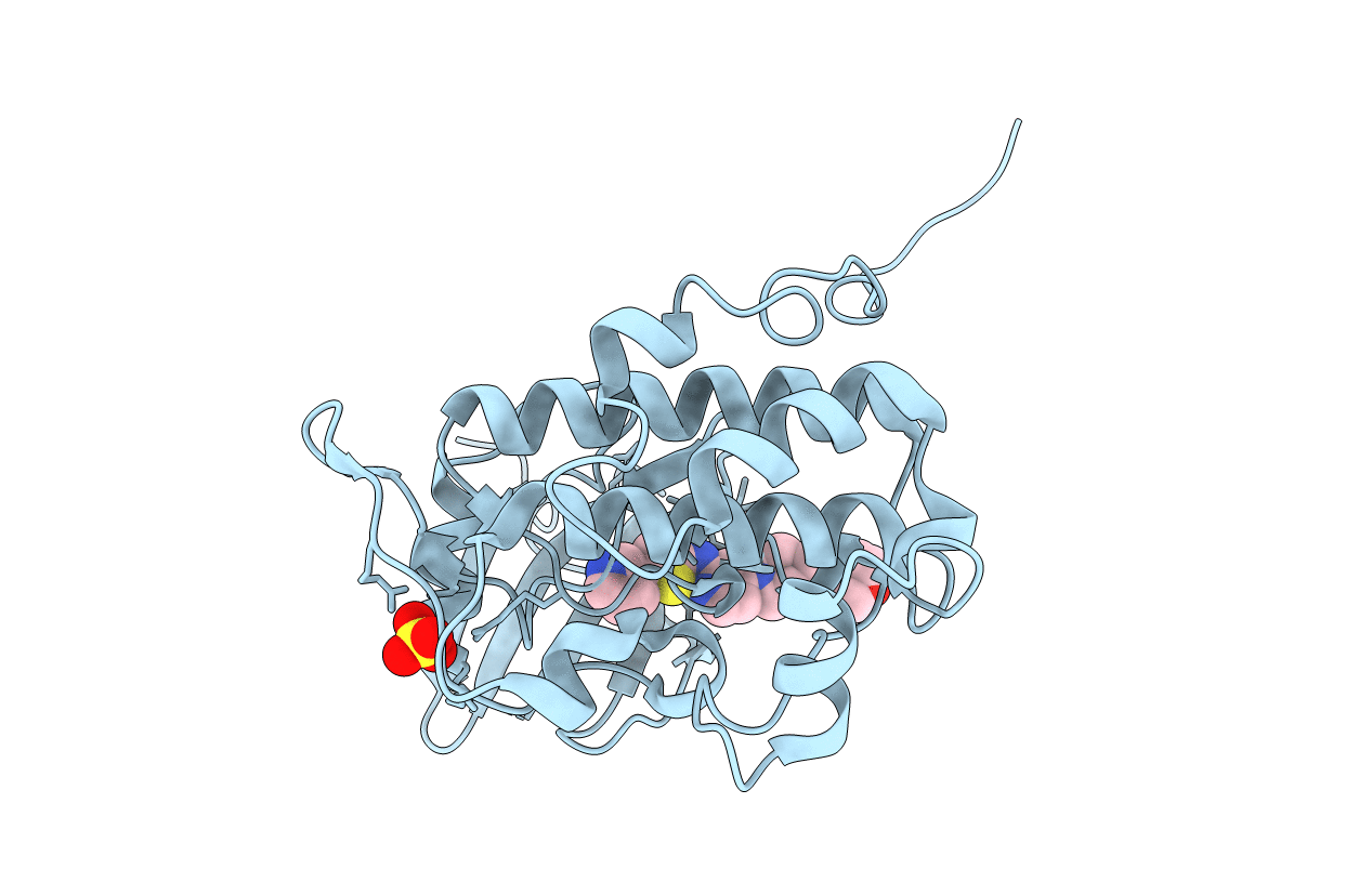 3TKH image