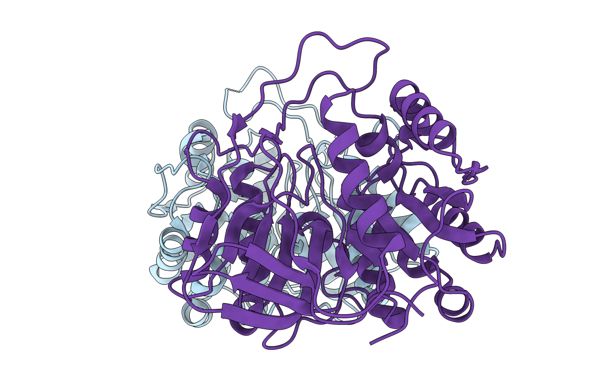 3TLG image