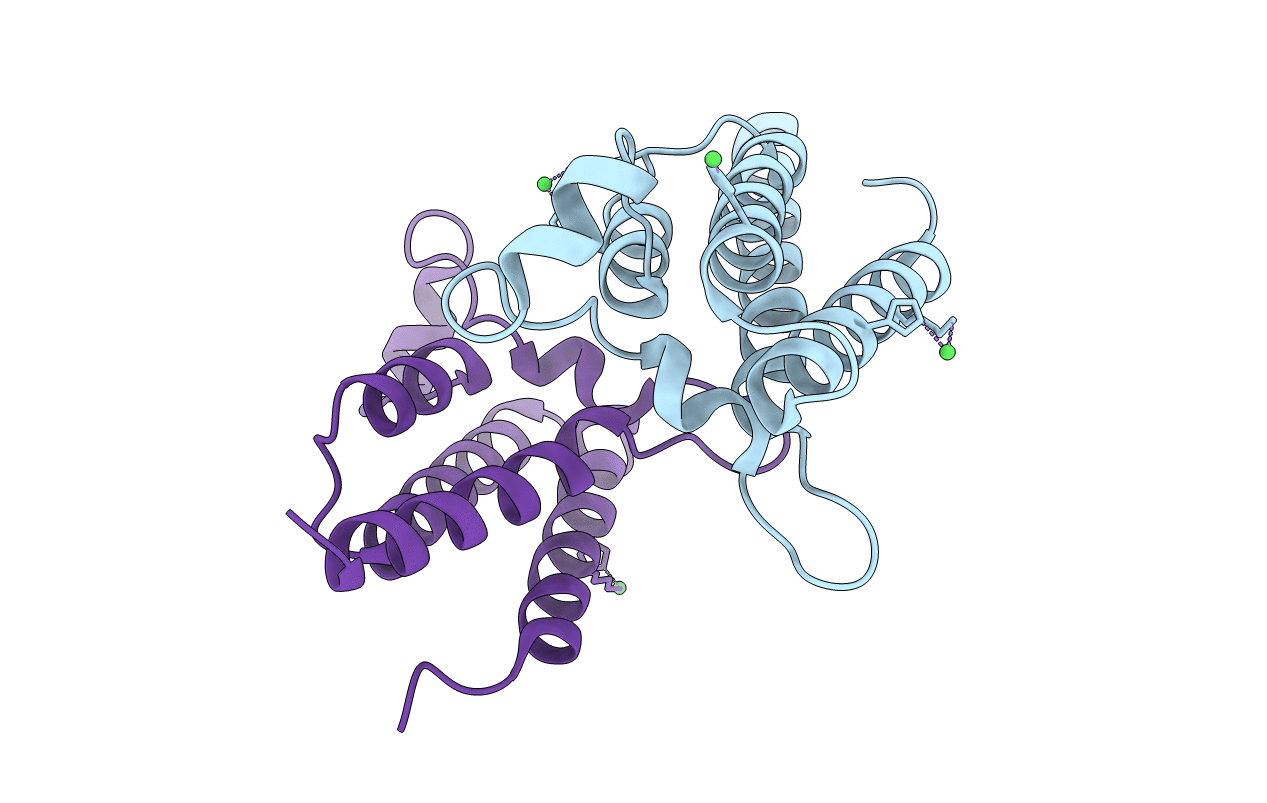 3TLP image