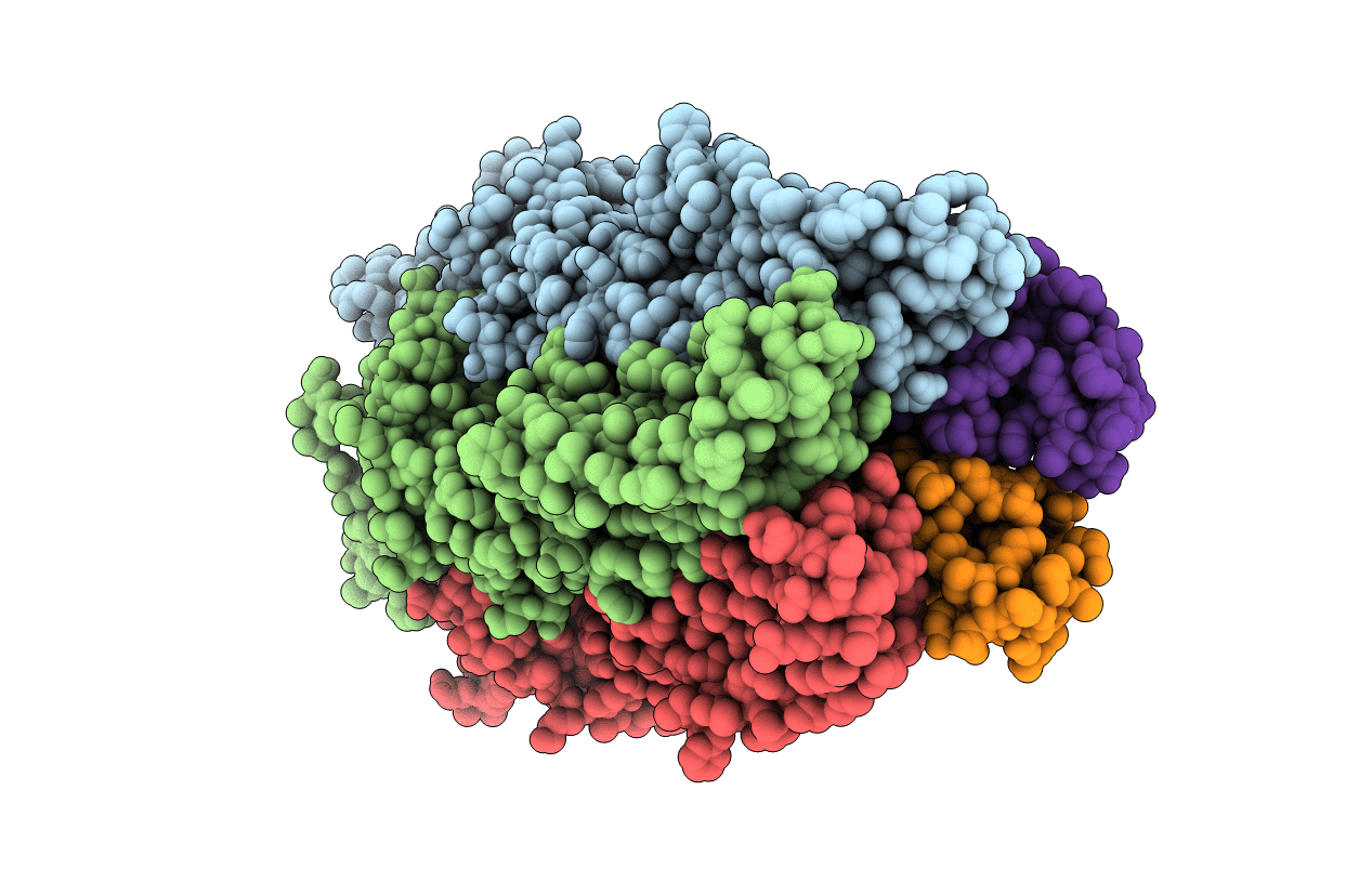 3TLS image