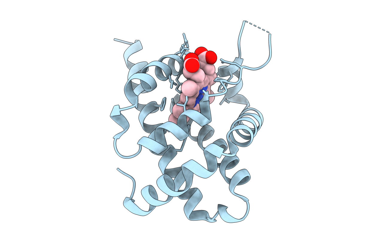 3TM3 image