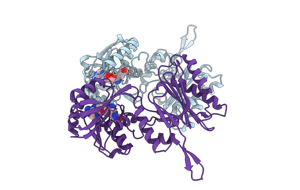 3TM5 image
