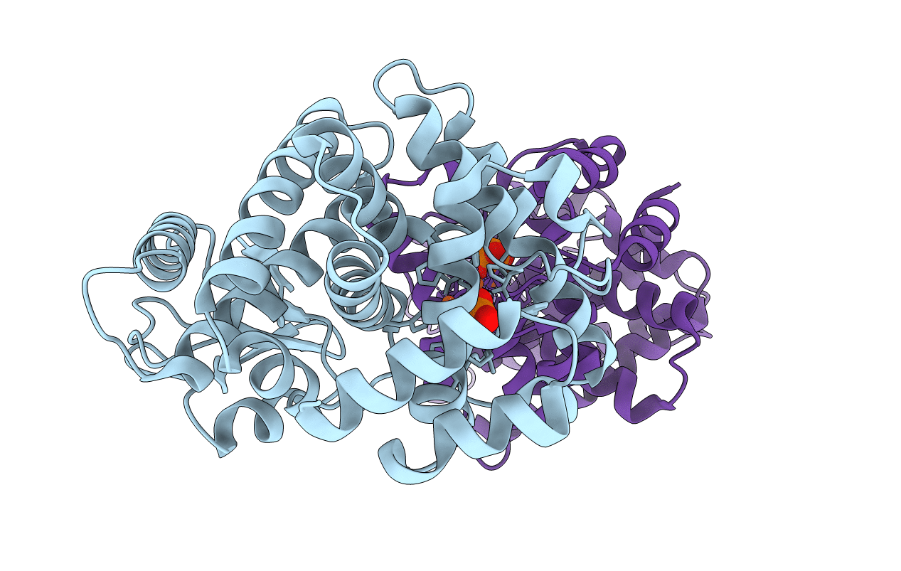 3TMB image