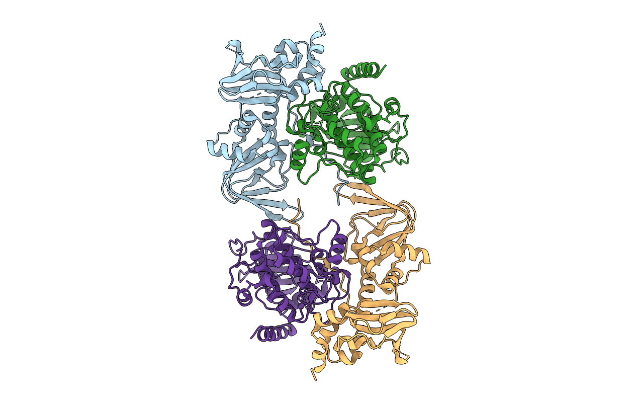 3TNP image