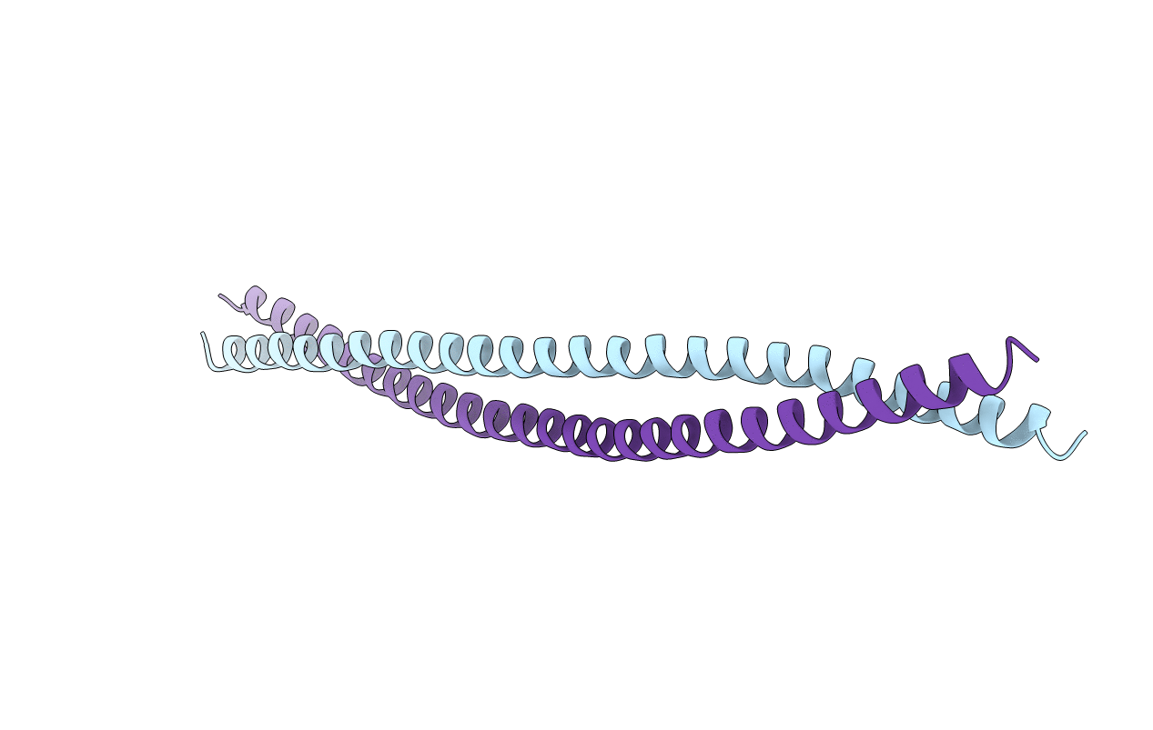 3TNU image