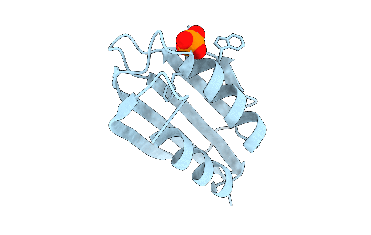3TNV image