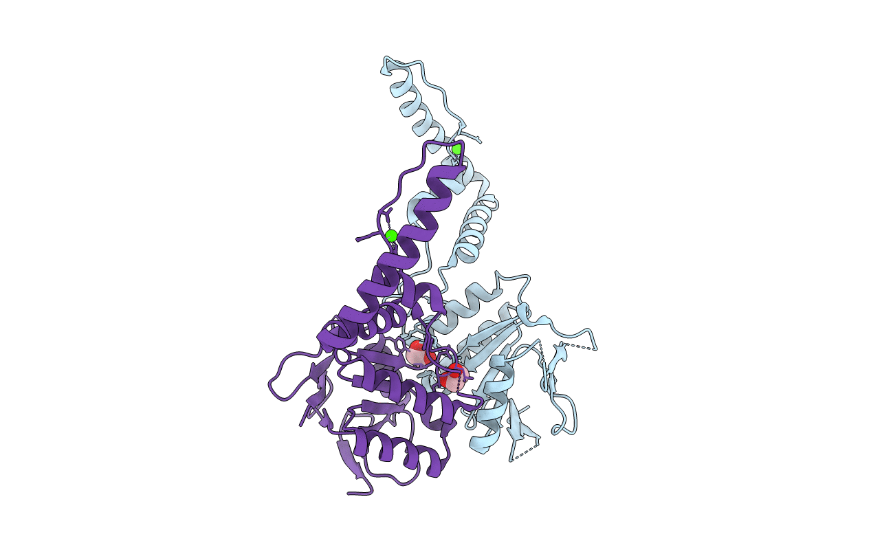 3TOC image