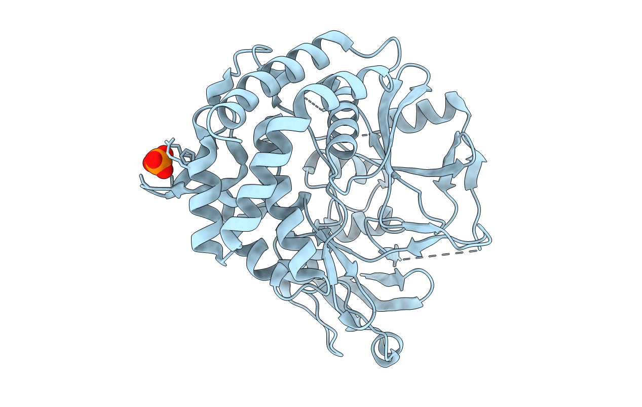 3TPD image