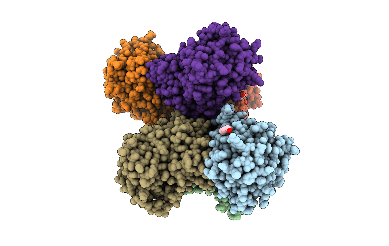 3TPF image