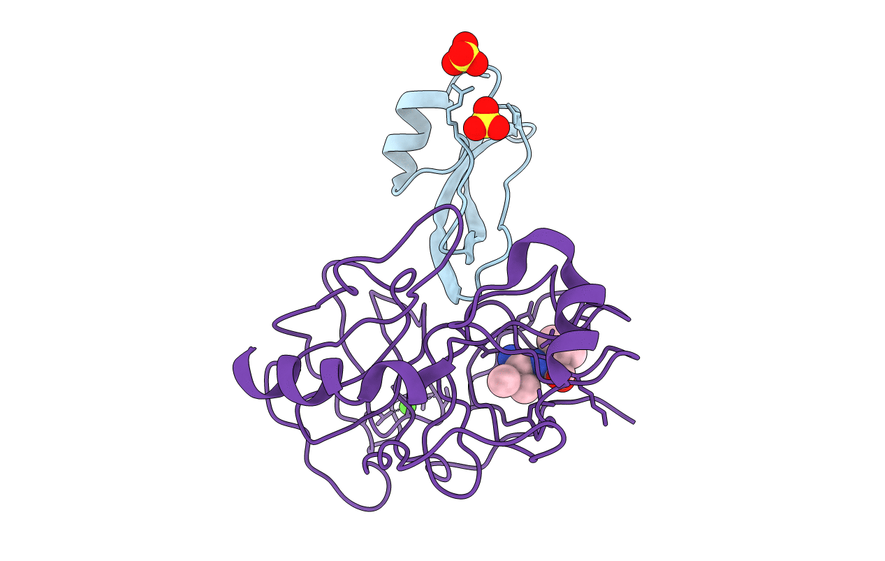 3TPI image