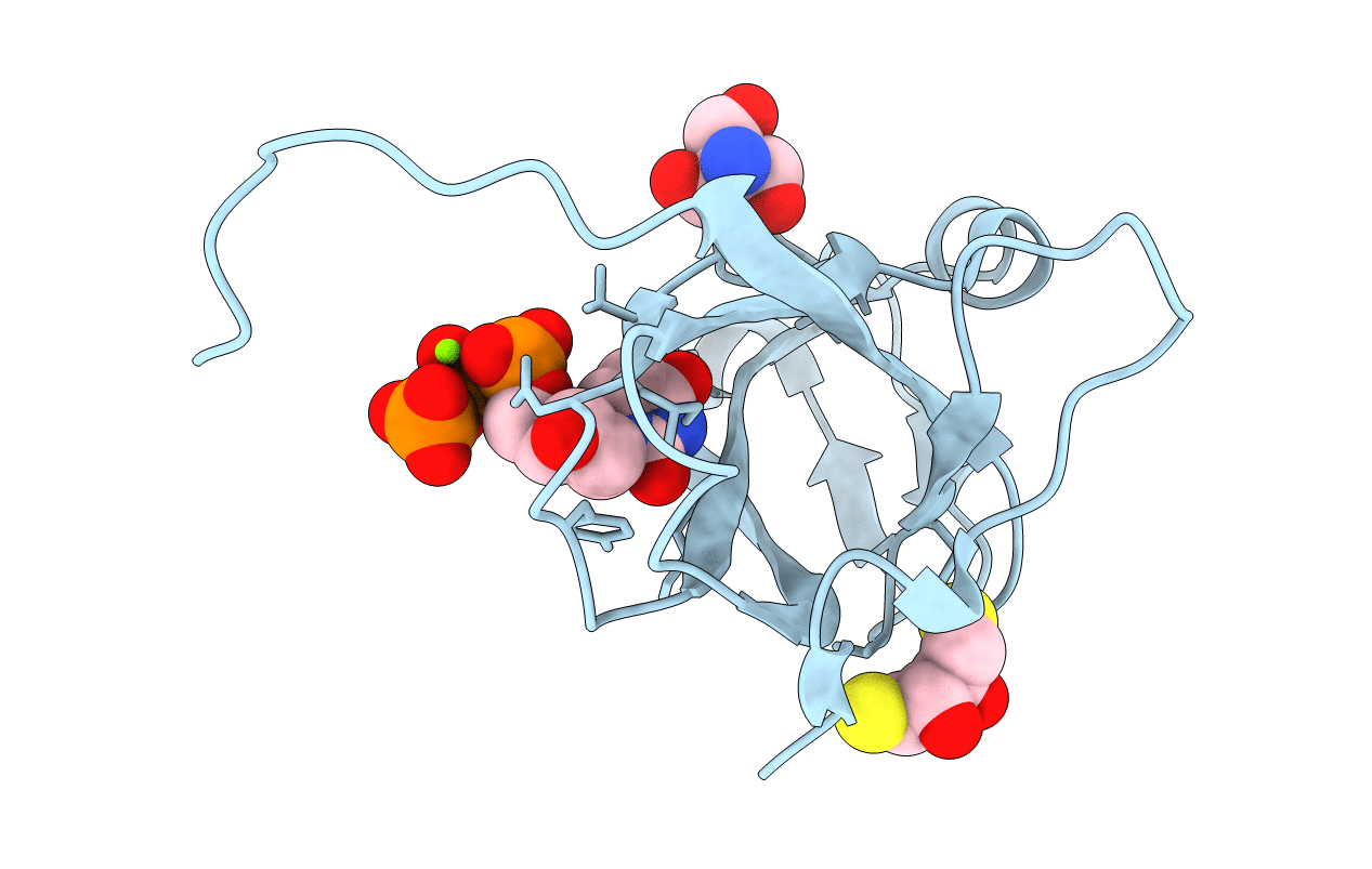 3TPN image