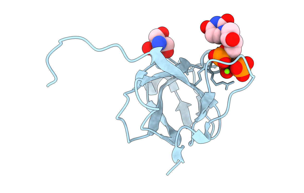 3TPS image