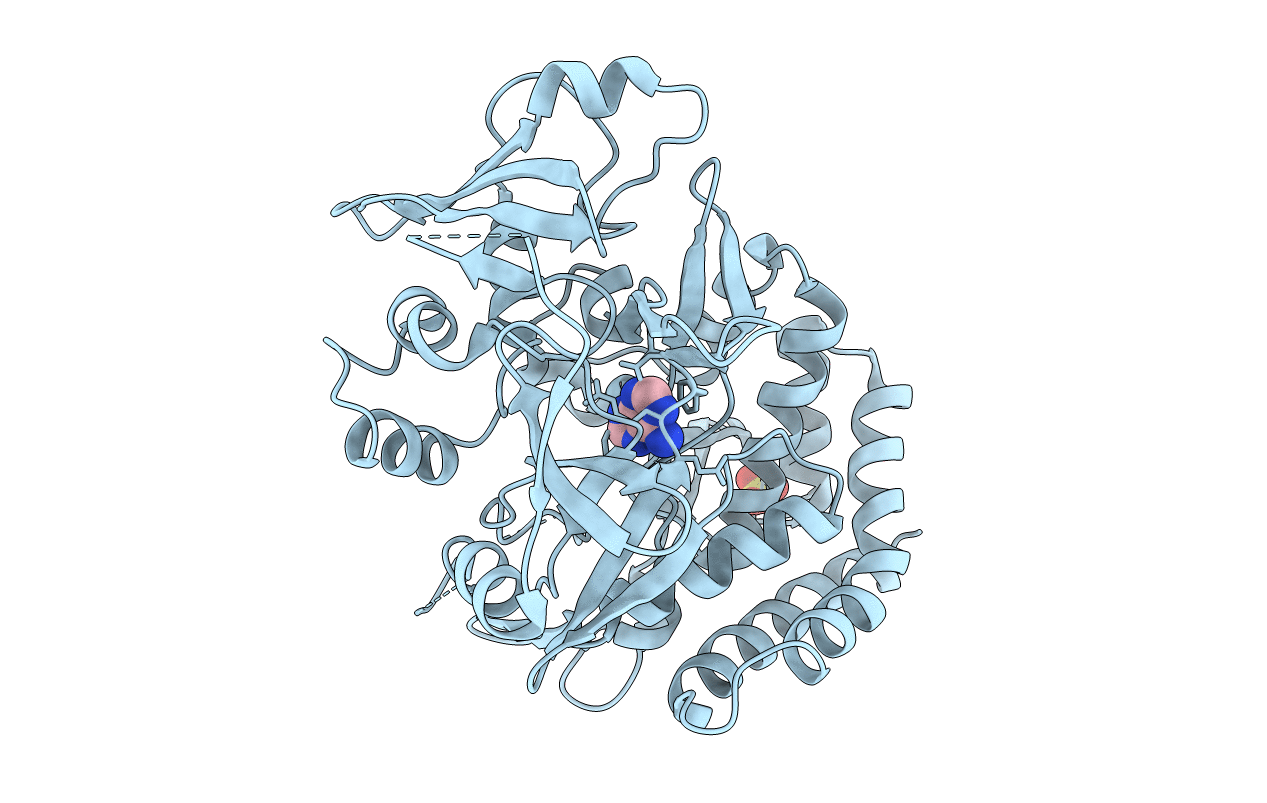 3TPV image