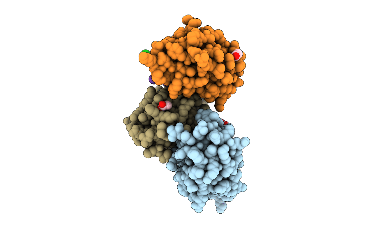 3TPX image