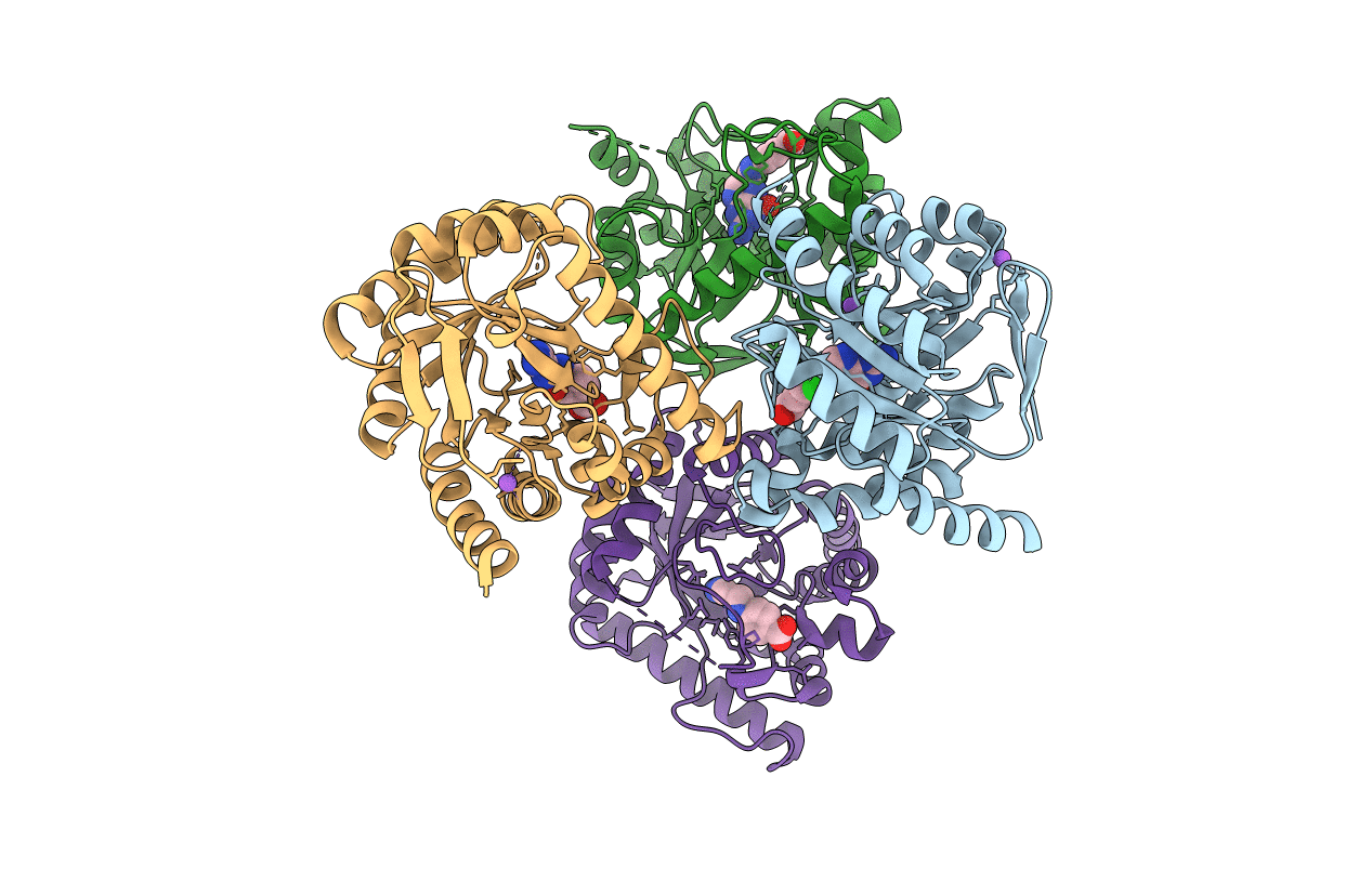3TR9 image