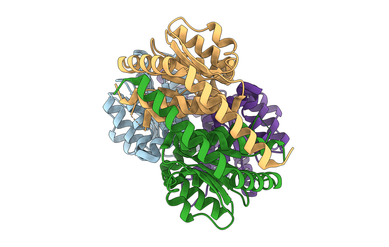 3TRJ image