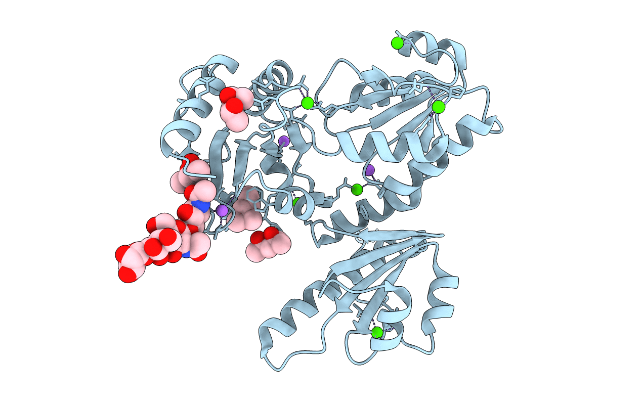 3TRQ image