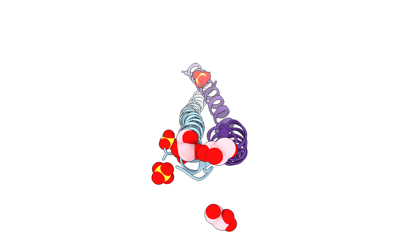 3TRT image