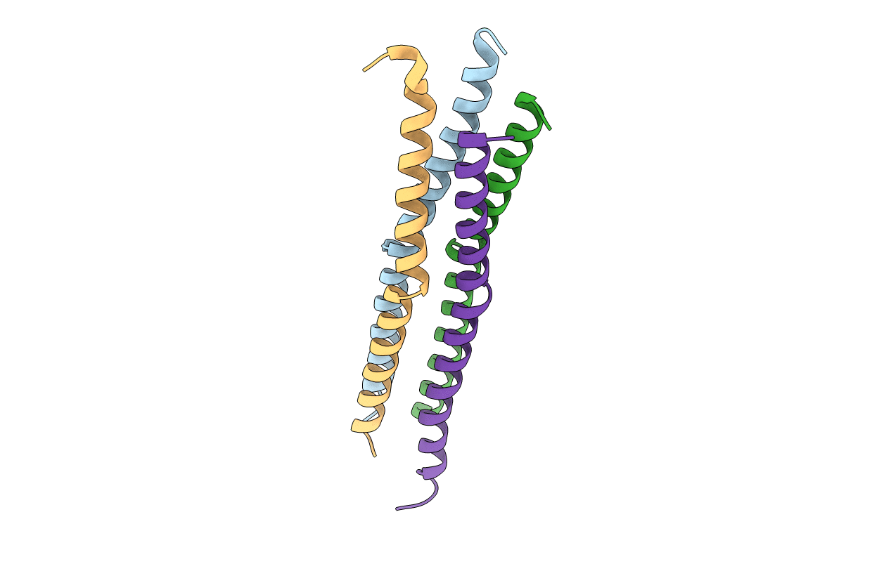 3TSI image