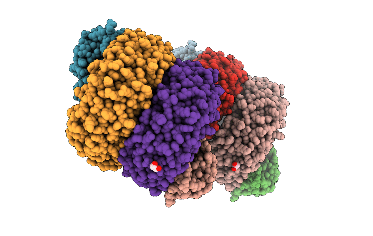 3TSR image