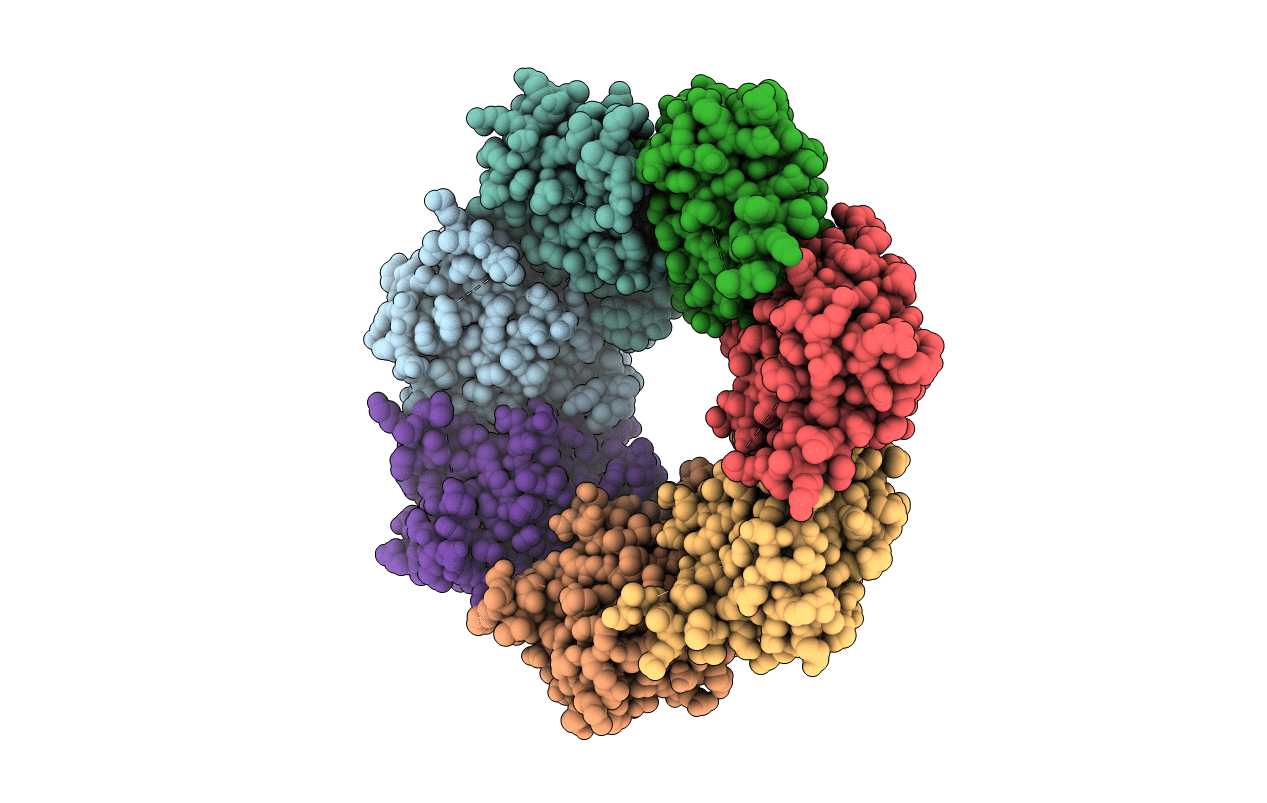 3TT6 image