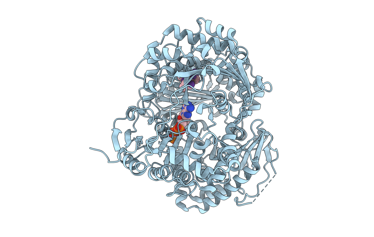 3TUV image