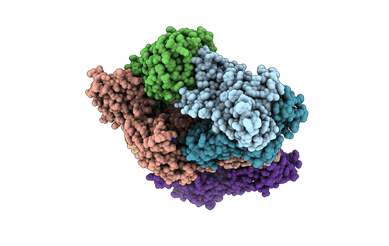 3TUZ image