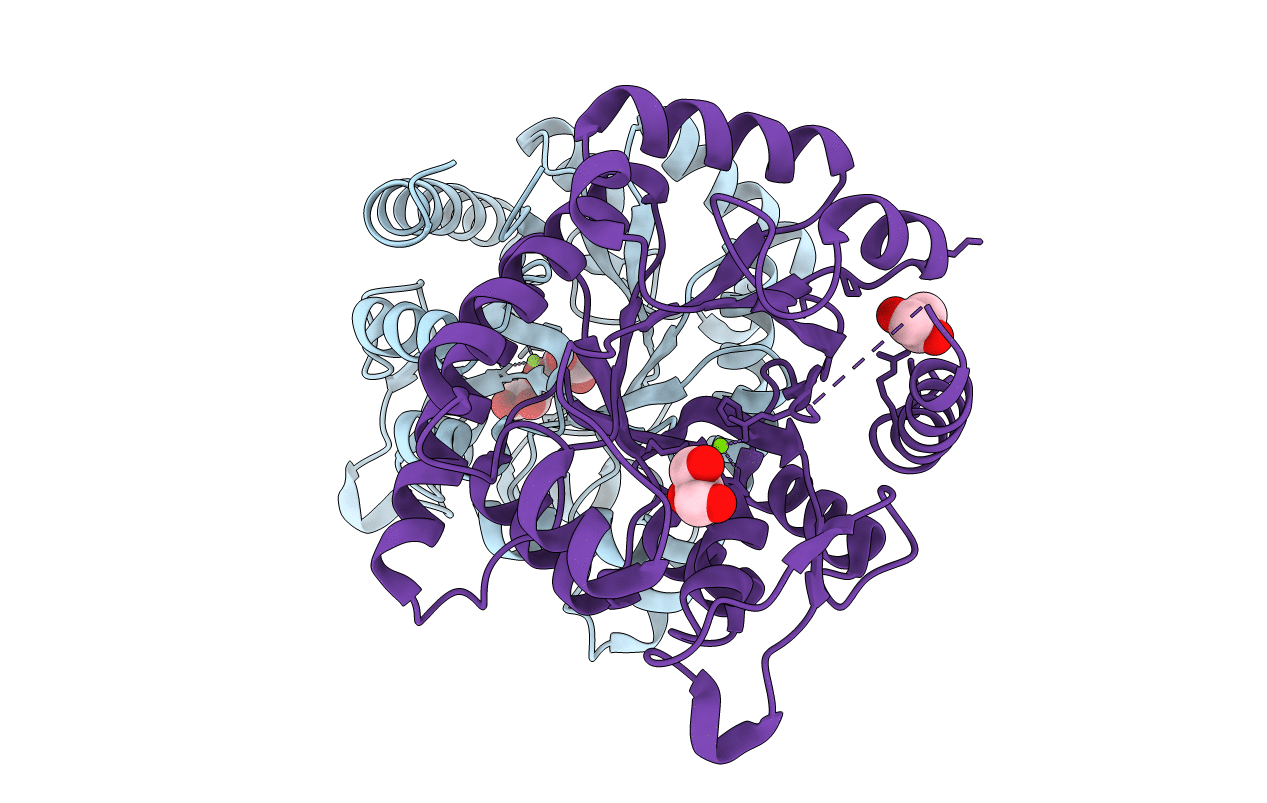 3TVA image