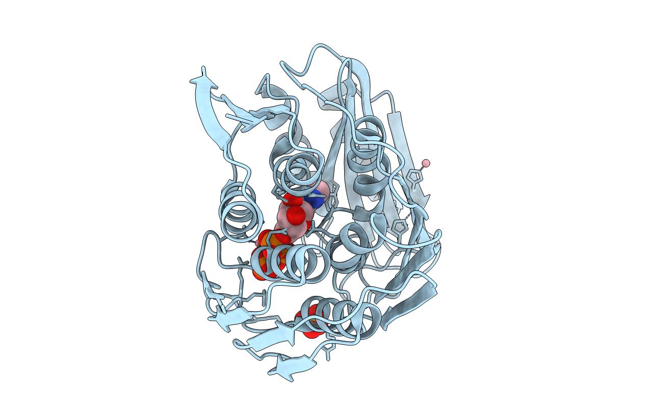 3TW3 image
