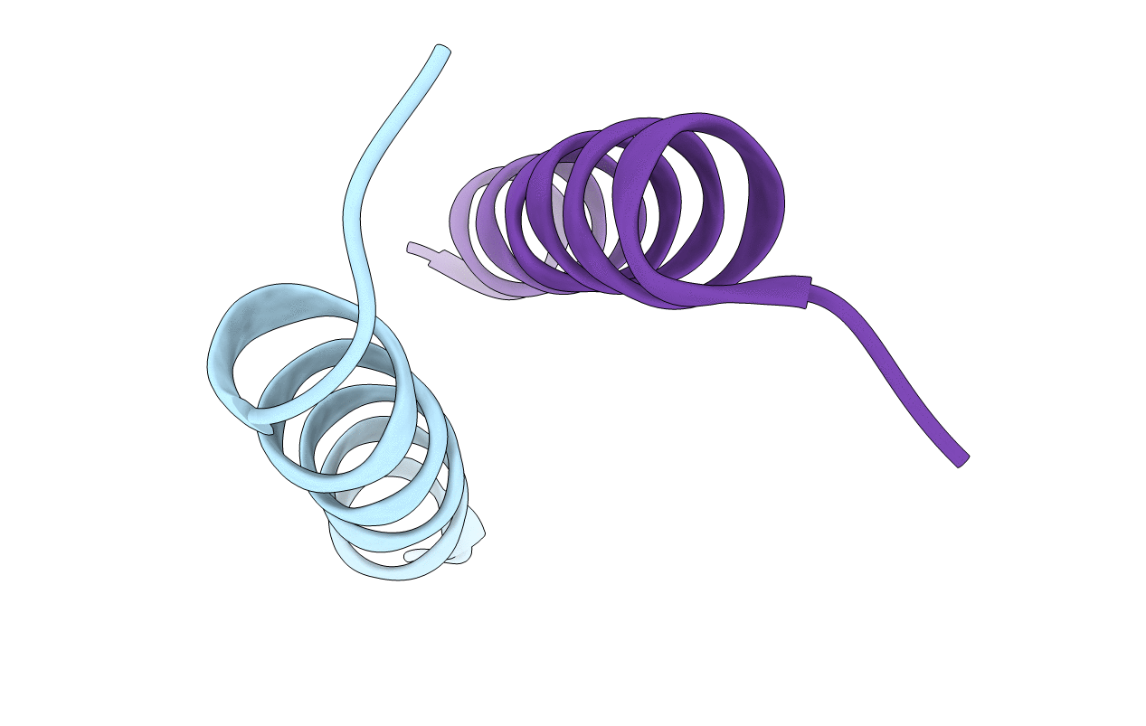 3TWG image